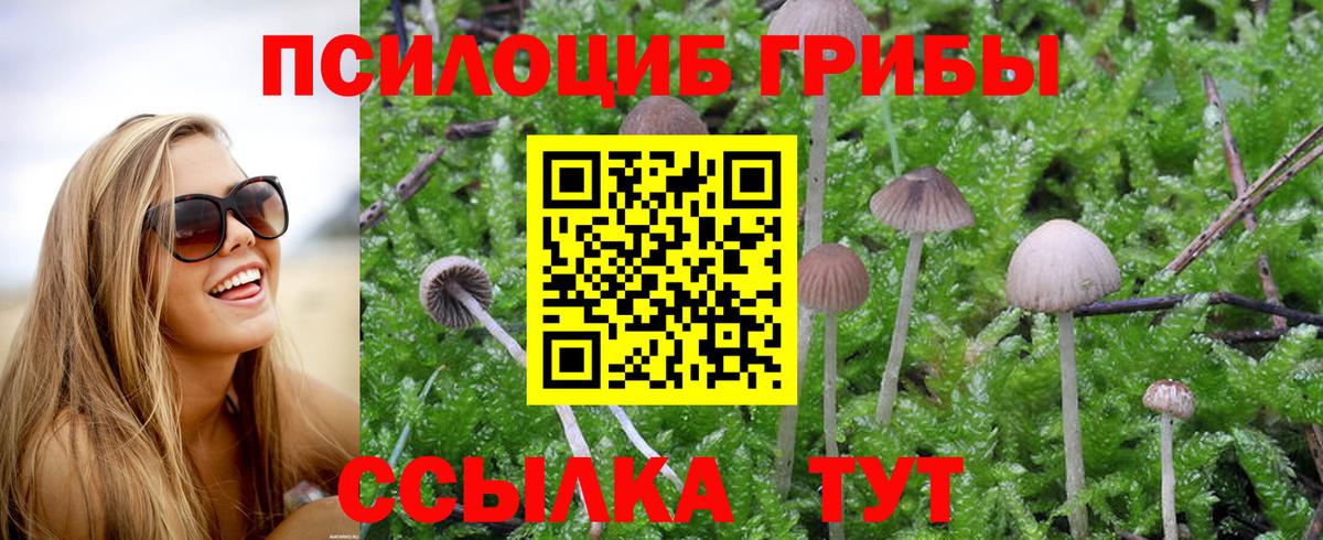 Прокопьевск  Псилоцибиновые грибы Cubensis  Галлюциногенные грибы Cubensis  Вход с VPN 